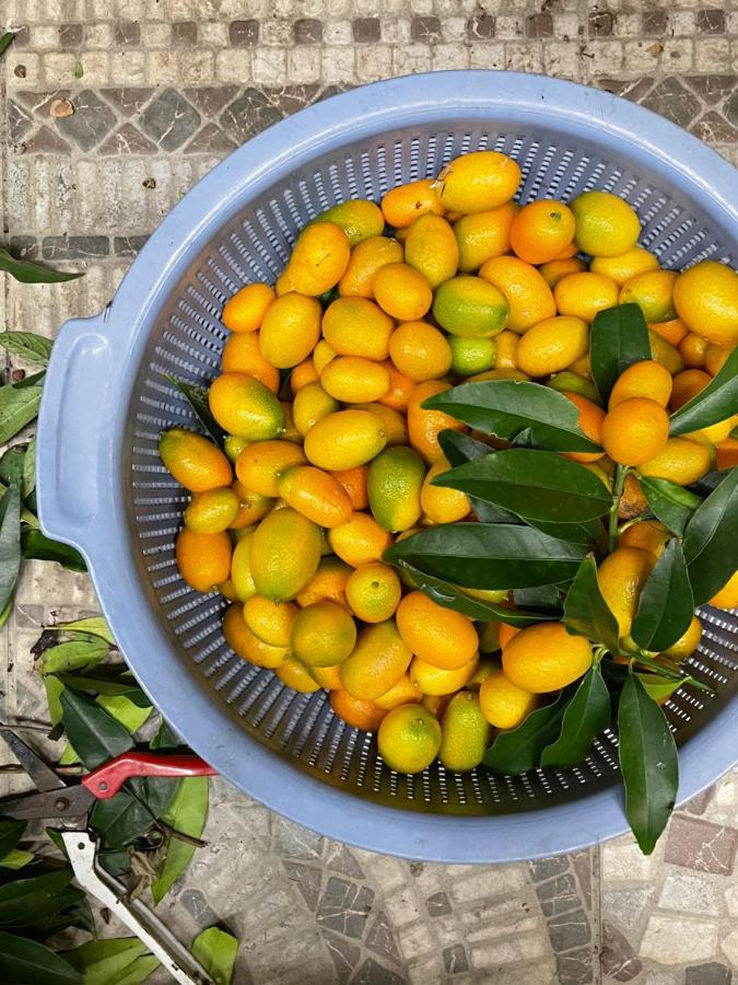 قوانشان Remindful Homestay المظهر الخارجي الصورة